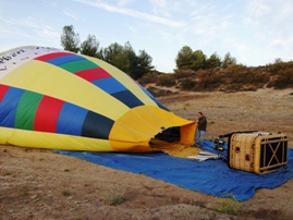 A Grape Escape Balloon Adventure